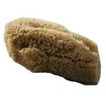 Beaming Baby Organic Baby Sea Sponge Natural - 1 Sponges